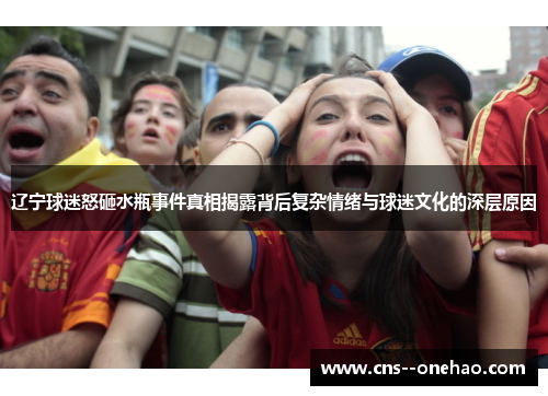 辽宁球迷怒砸水瓶事件真相揭露背后复杂情绪与球迷文化的深层原因