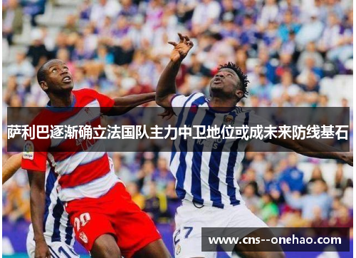 萨利巴逐渐确立法国队主力中卫地位或成未来防线基石
