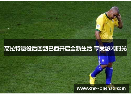 高拉特退役后回到巴西开启全新生活 享受悠闲时光 高拉特退役后回到巴西开启全新生活 享受悠闲时光